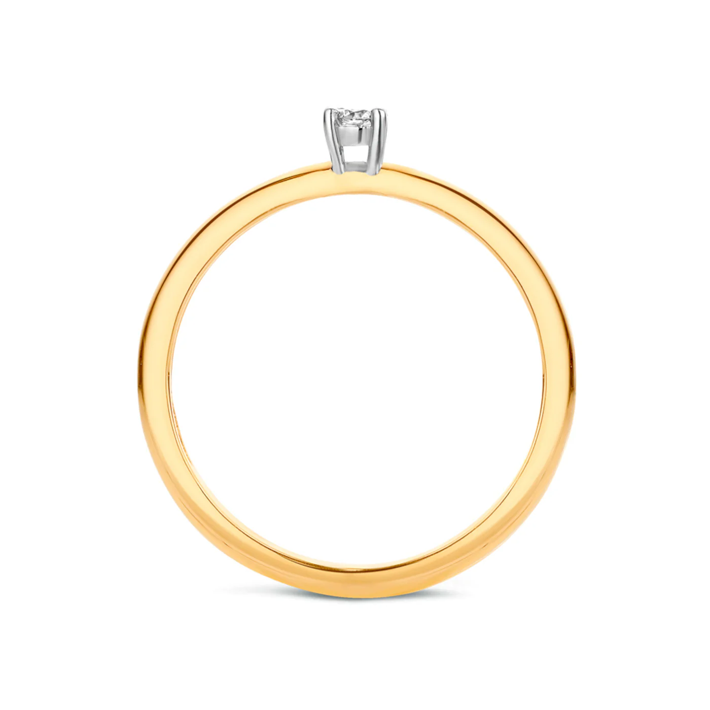 Miniatuur 4